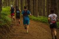 Στις 12 Μαΐου 2019 ο Pourlia Trail - Ξεκίνησαν οι εγγραφές