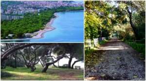 Το αγαπημένο μου μονοπάτι – Πευκιάς Ξυλοκάστρου!