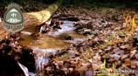 Florina Trail Challenge, όραμα και φιλοδοξία για κάτι νέο και όμορφο