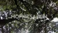 Mofkitsa Run 2017: Αναβολή του αγώνα
